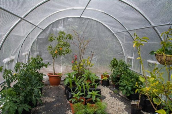 Protégez votre jardin avec une couverture de serre