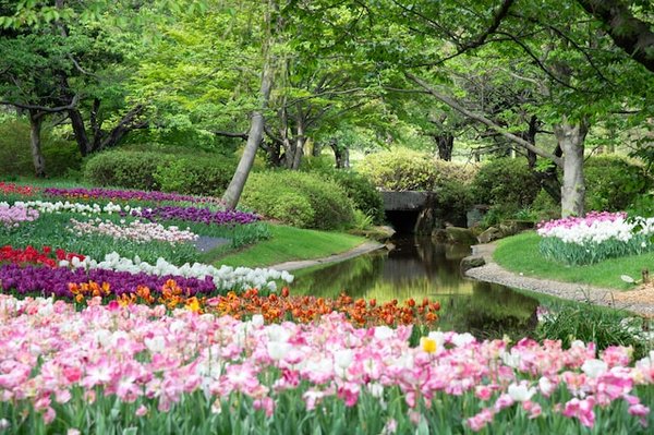 Les conseils d'un paysagiste Biarritz pour réduire votre consommation d'eau et d'énergie dans votre jardin