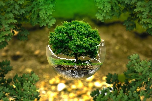 Qu'est-ce que l'écologie et pourquoi est-elle importante ?