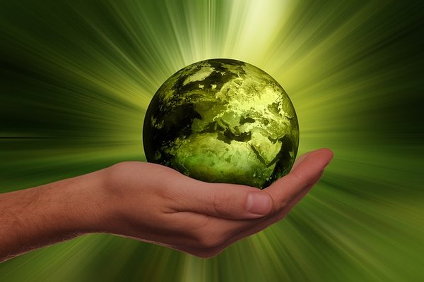 Les associations et les mouvements écologistes : Comment la France mène la lutte pour l'environnement ?