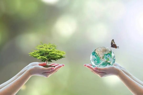Quelles actions peuvent entreprendre les pouvoirs publics pour l'écologie ?